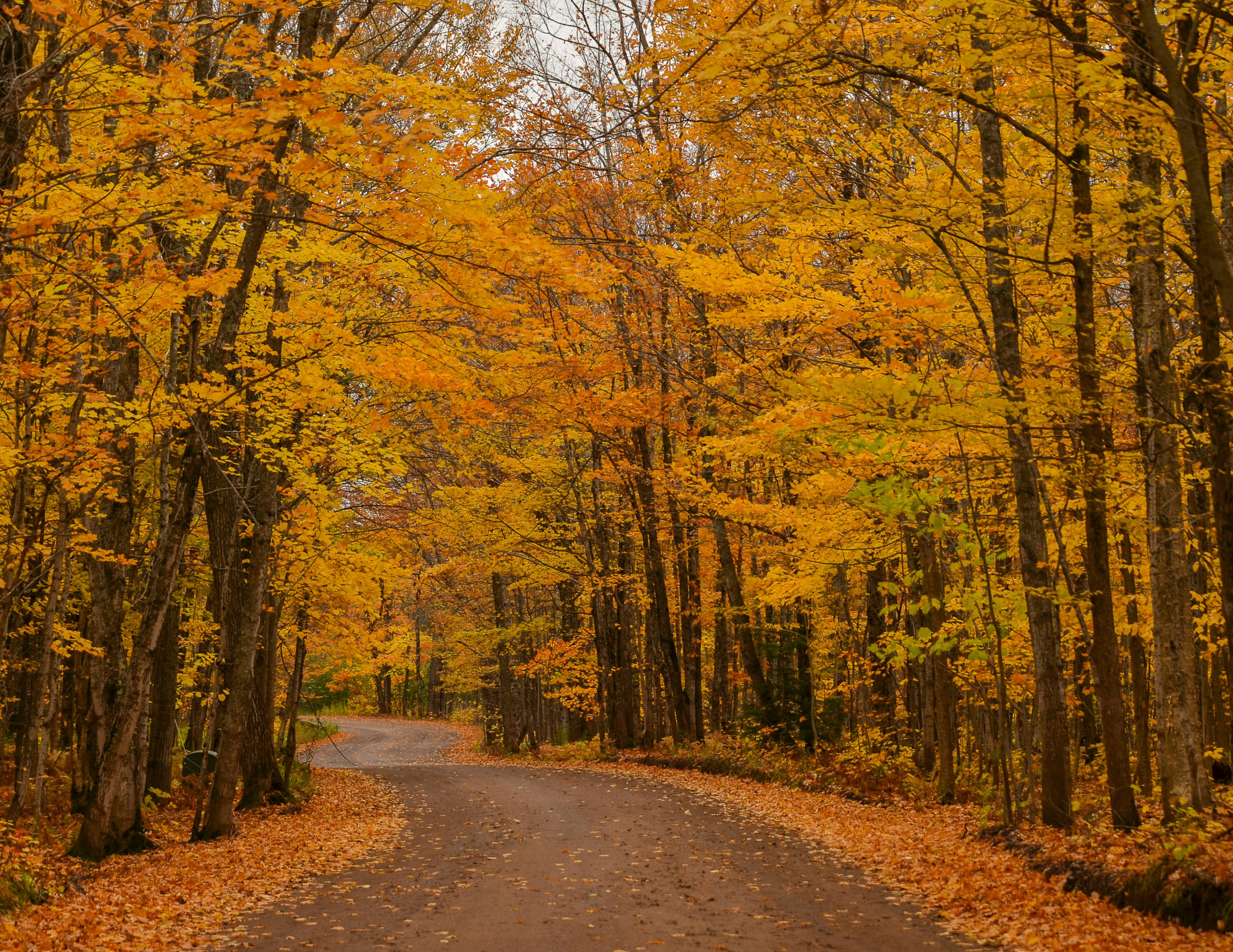 Closed Monday, October 12th - Columbus Day
